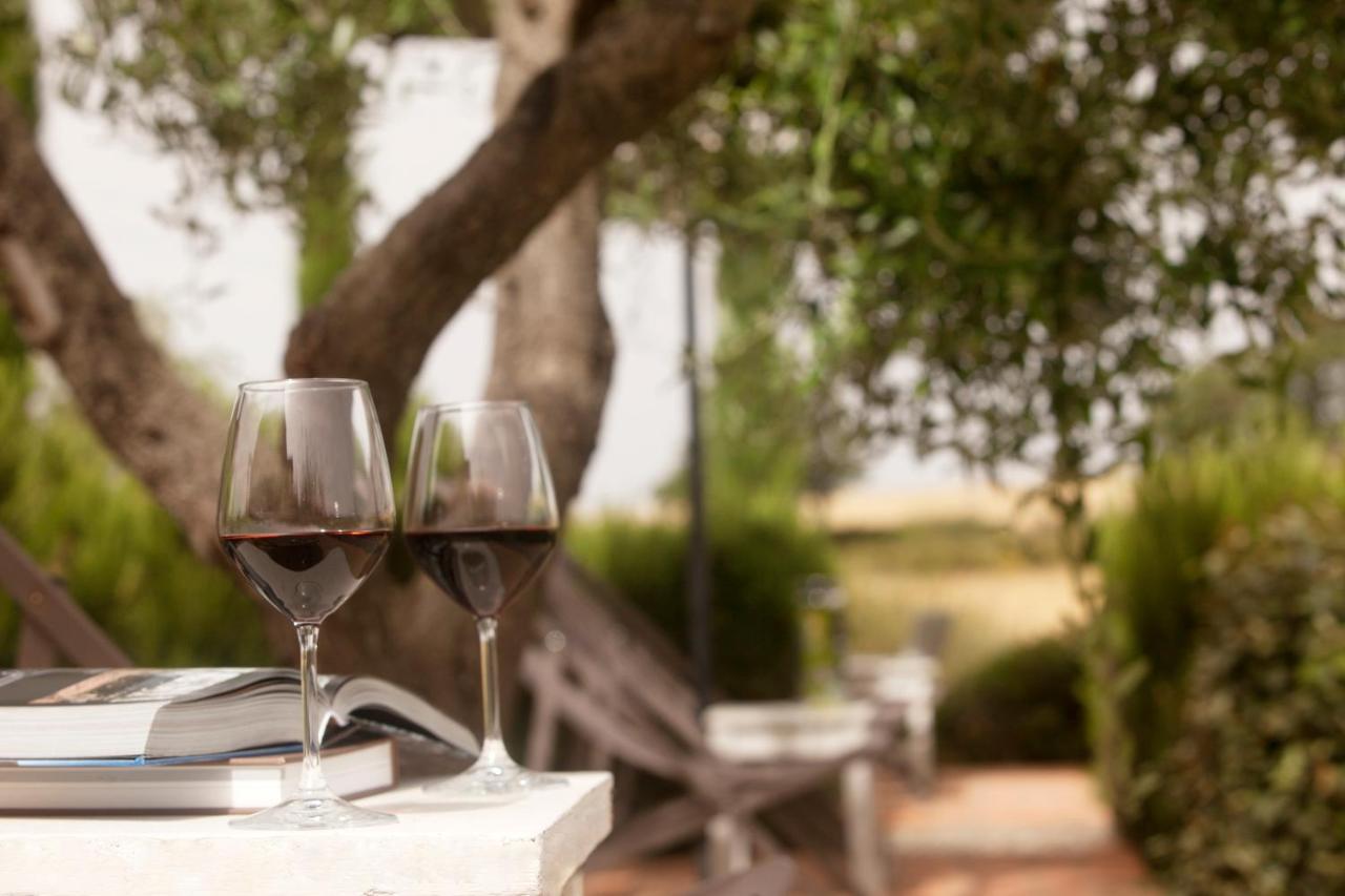 Casale Sterpeti Bed & Breakfast Magliano in Toscana Dış mekan fotoğraf