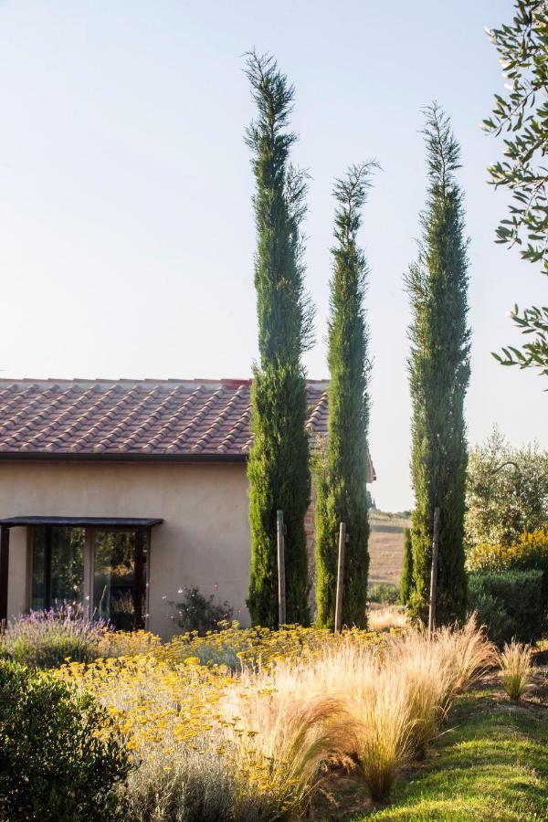 Casale Sterpeti Bed & Breakfast Magliano in Toscana Dış mekan fotoğraf
