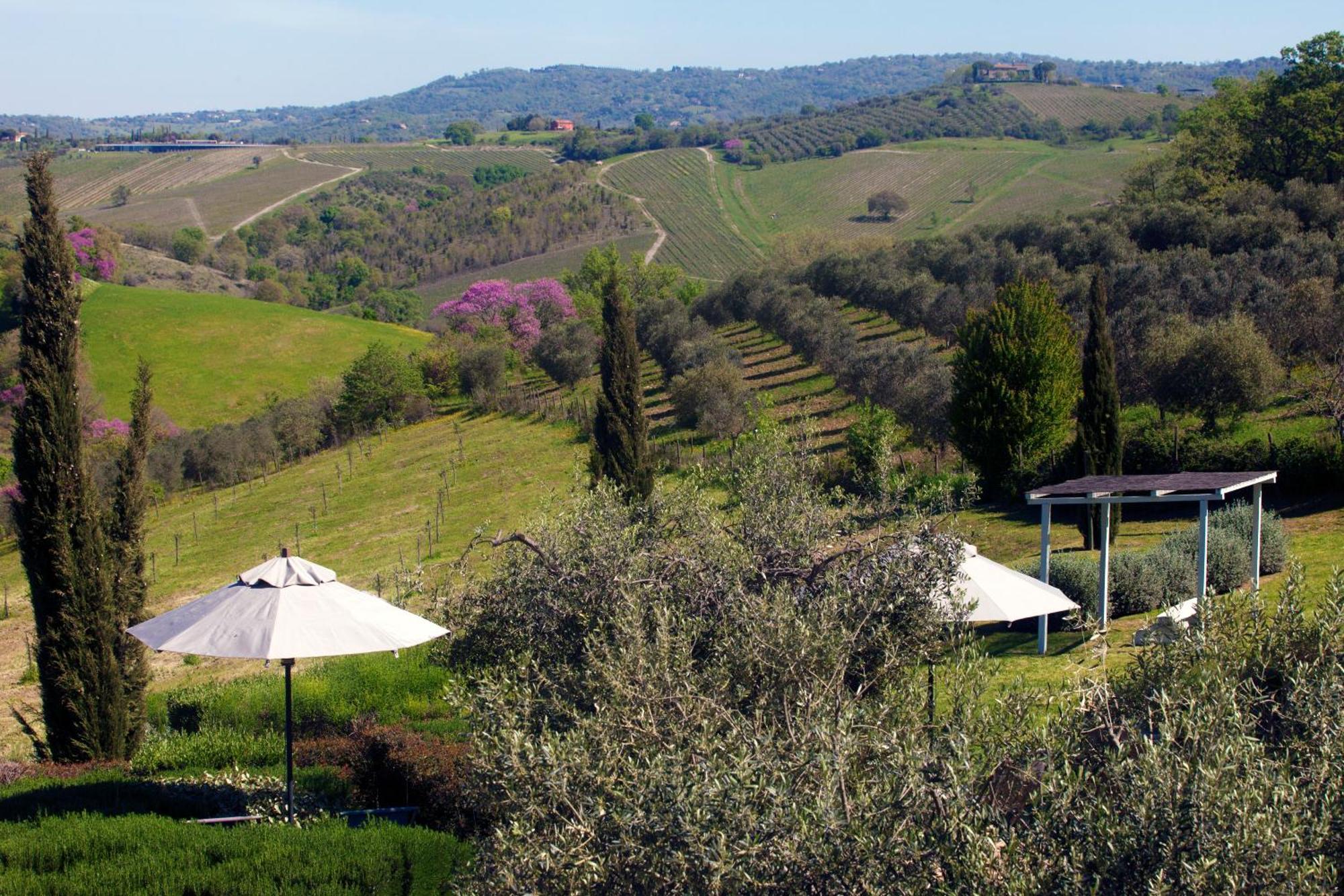 Casale Sterpeti Bed & Breakfast Magliano in Toscana Dış mekan fotoğraf