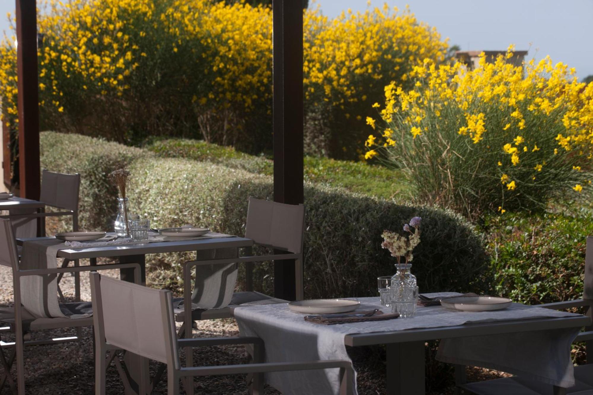 Casale Sterpeti Bed & Breakfast Magliano in Toscana Dış mekan fotoğraf