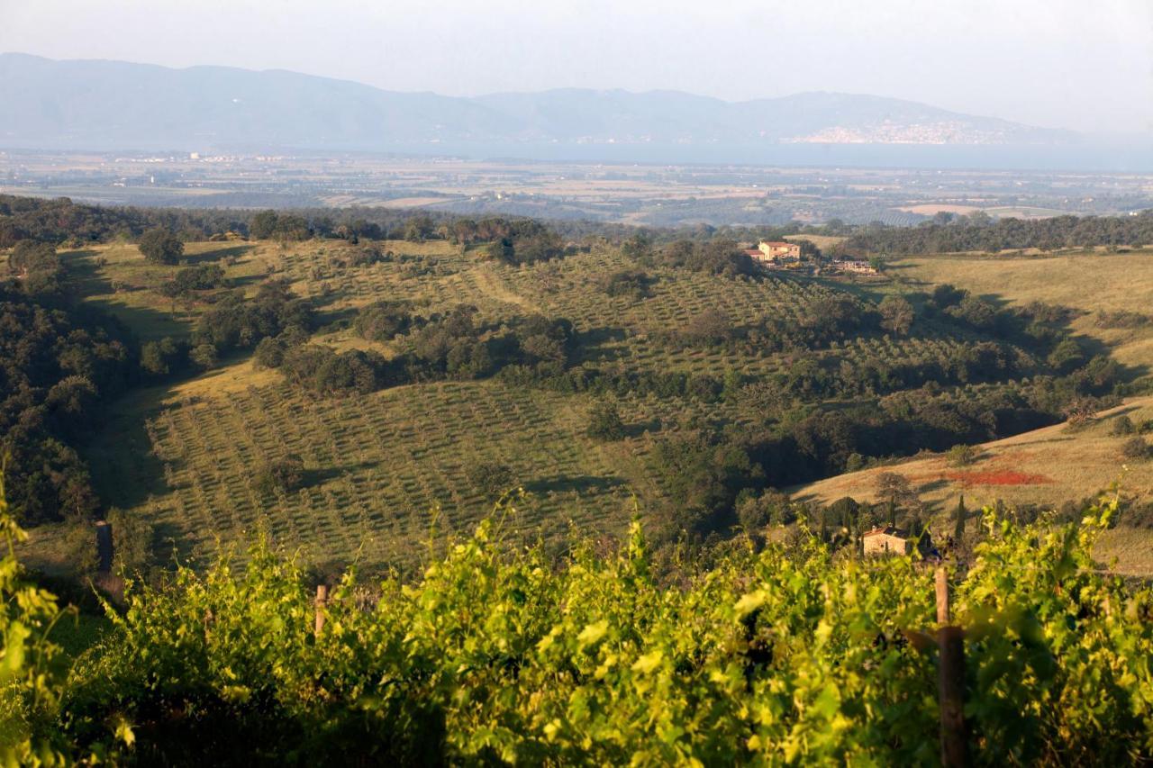 Casale Sterpeti Bed & Breakfast Magliano in Toscana Dış mekan fotoğraf